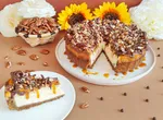 /assets/images/recipes/turtle-cheesecake/3.webp