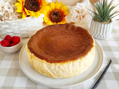 Burnt basque cheesecake
