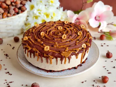 Hazelnut chocolate cheesecake